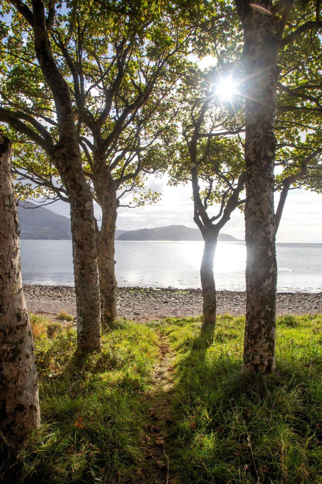 Ash, Birch And Rowan Self Catering Cabins 오니치 외부 사진